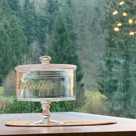 Du Merle - Champ Du Feu - Neuf 5 Etoiles Σαλέ Belmont (Bas-Rhin)